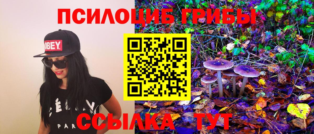 Самара  Галлюциногенные грибы Psilocybe  Вход с VPN 