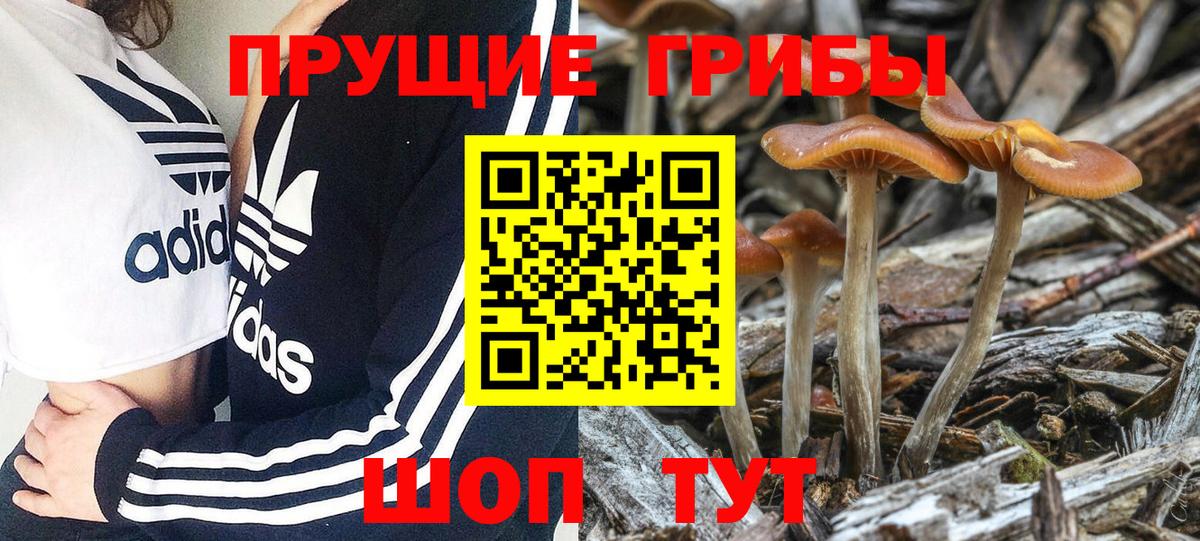 Псилоцибиновые грибы прущие грибы Самара